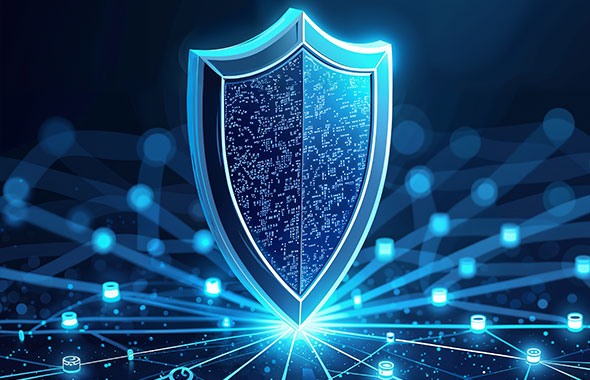 Cybersecurity shield