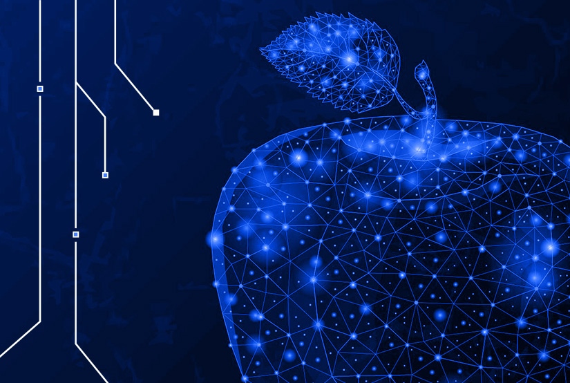 Paymentus bill better unified patient bill pay