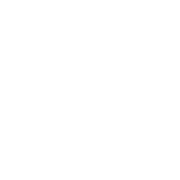 Dynamic Simplicity icon