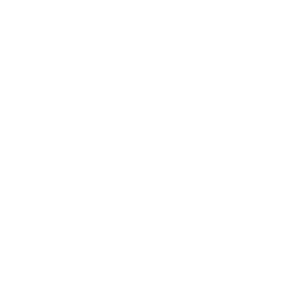 IVR icon