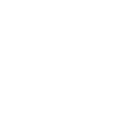 cash icon