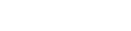 PayPal Logo Icon