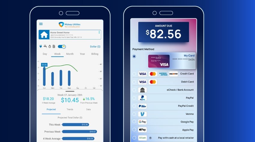 Paymentus accelerated innovations phone