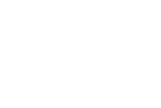 AE Logo