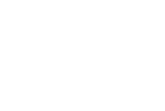 APS Logo