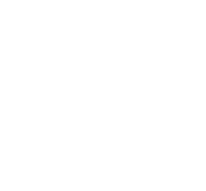 Auto Insurance
