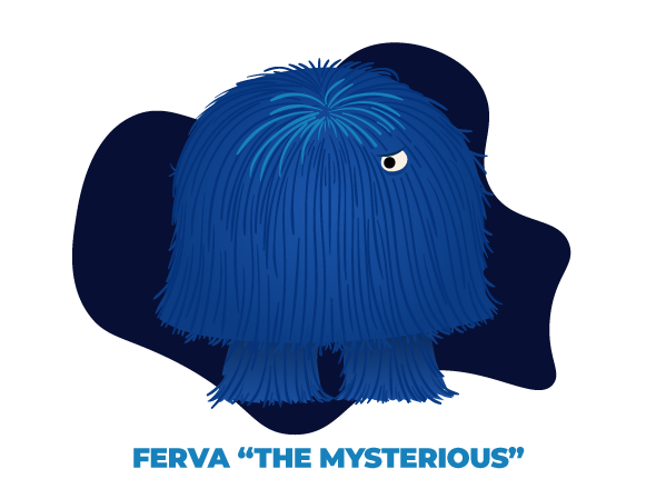 Paymentus ferva the mysterious